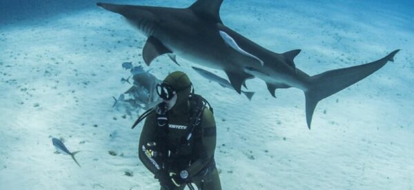 First in Canada: Ocean Film Festival