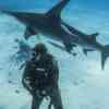 First in Canada: Ocean Film Festival