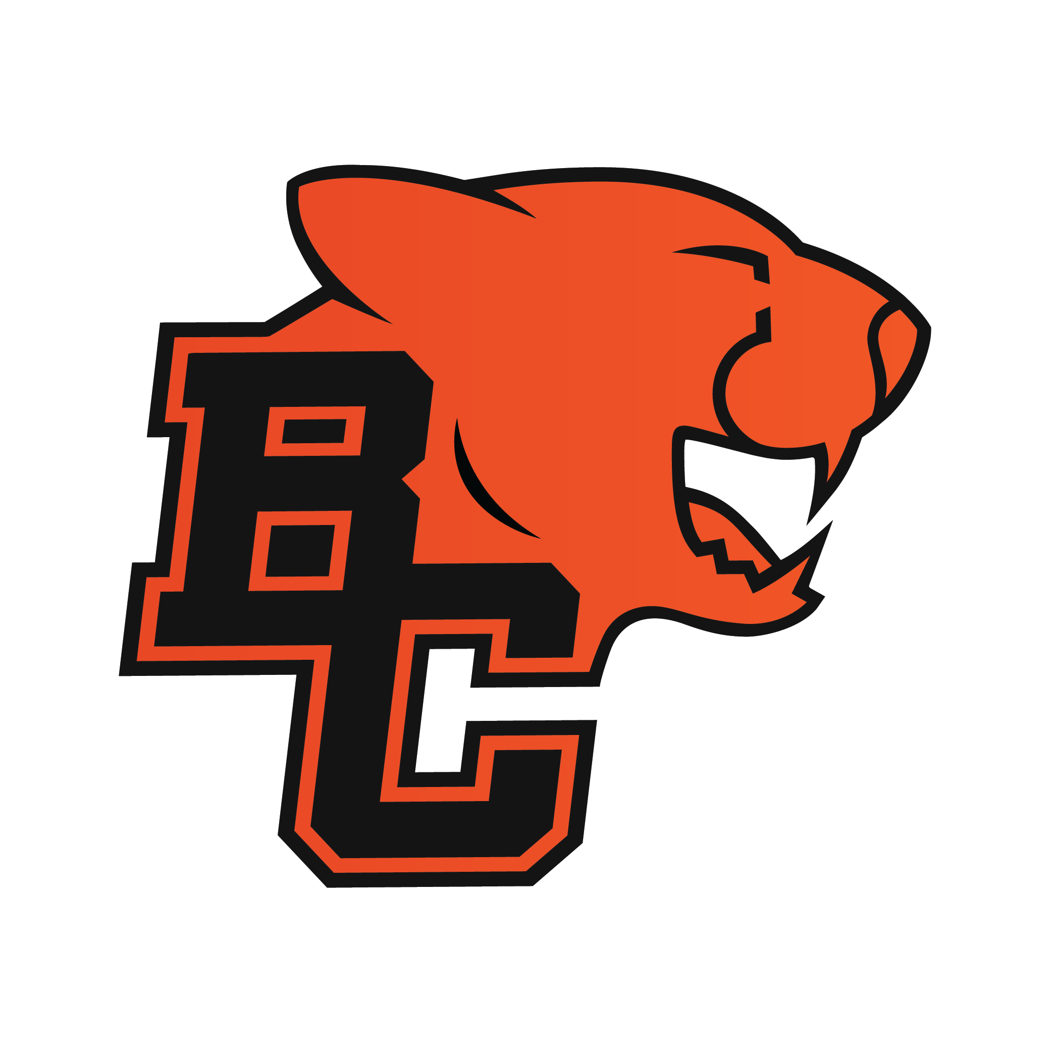 Bc lions community programs logo