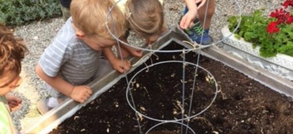 The Perennial Community Impact of the Edible Garden Project