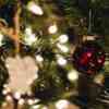 Supporting Youth This Season With The Christmas Bureau